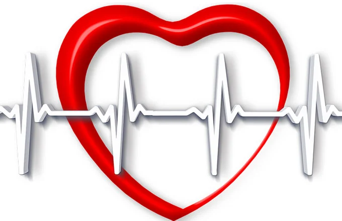 Olio Extravergine: Calorie 1 Calorie Olio Extravergine