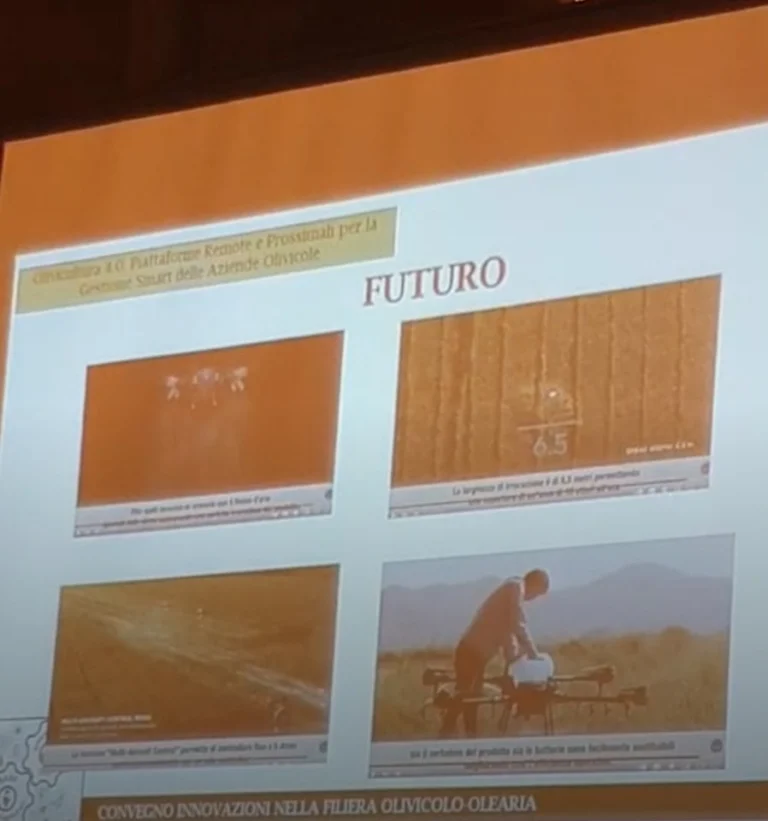 Nocellara Fest: convegno Innovazioni nella Filiera Olivicola-Olearia 1 nocellarafest 77