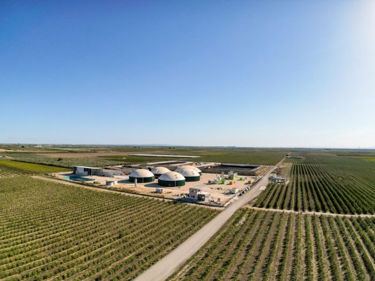 L’Italia della Transizione Ecologica: Innovazione, Economia Circolare e Futuro Sostenibile 3 arca cerignola