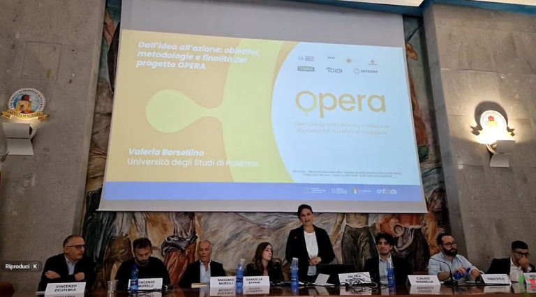 Progetto Opera: l’Intelligenza Artificiale che rivoluziona la filiera dell’olio d’oliva 2 progetto opera