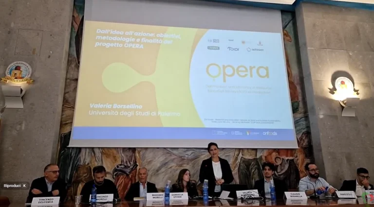 Progetto Opera: l’Intelligenza Artificiale che rivoluziona la filiera dell’olio d’oliva 1 progetto opera
