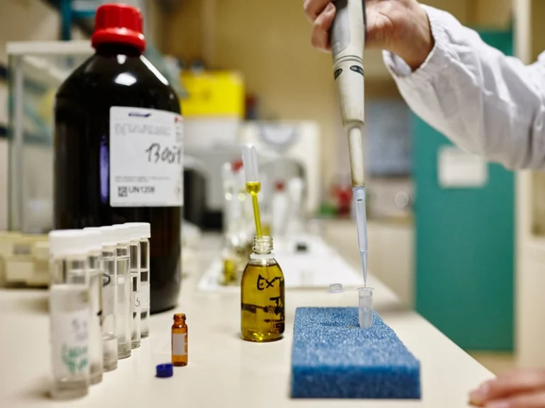 Come si scopre un falso olio extra vergine: analisi di laboratorio e segnali rivelatori 1 olio evo e frode