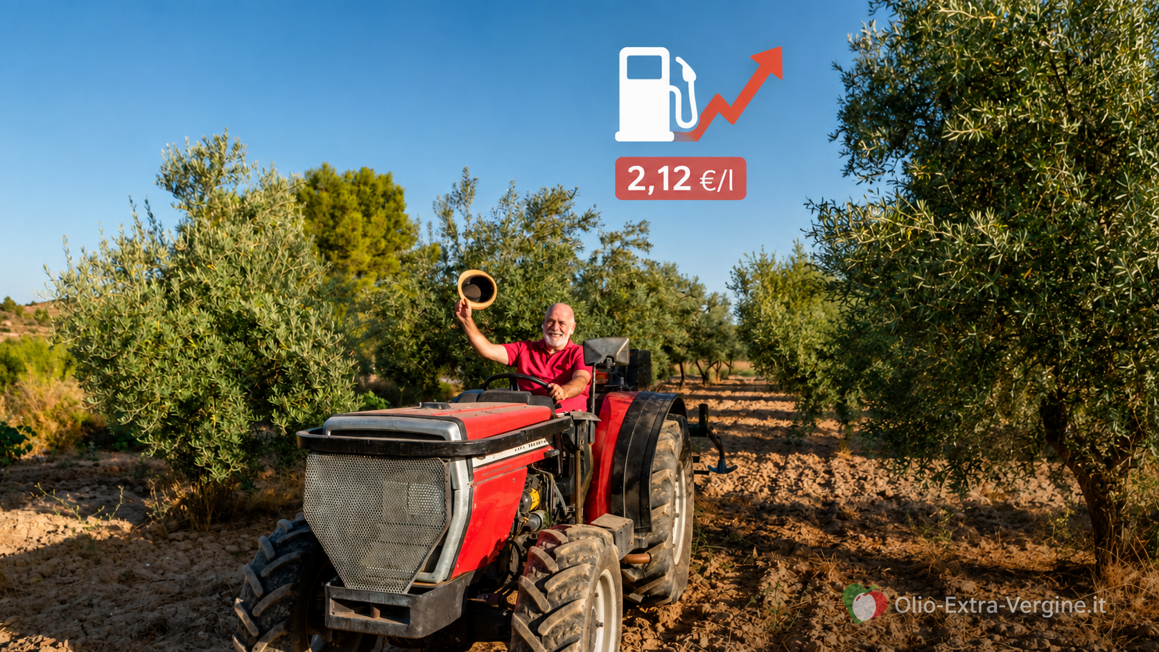 Gasolio alle stelle prima della raccolta delle olive: quanto costerà produrre l’olio nel 2026? 1 caro gasolio agricolo