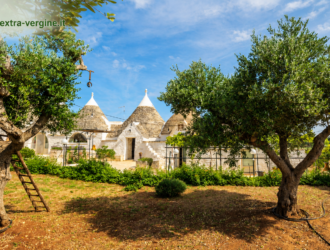 ulivi trulli