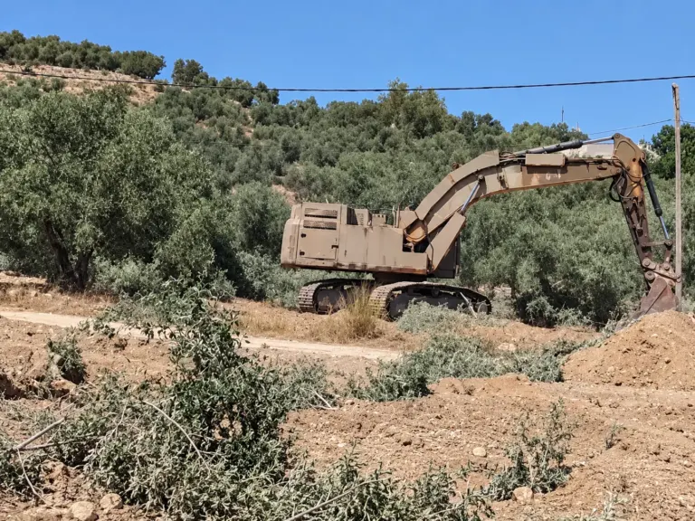 Cisgiordania, la guerra degli ulivi: militari israeliani sradicano gli ulivi prima della raccolta 1 1