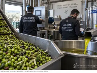 controlli vendita olive
