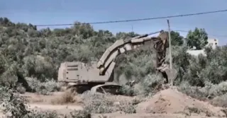 Cisgiordania, la guerra degli ulivi: militari israeliani sradicano gli ulivi prima della raccolta 3 gallery_01_migliorata