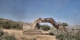Cisgiordania, la guerra degli ulivi: militari israeliani sradicano gli ulivi prima della raccolta 2 gallery_05_migliorata