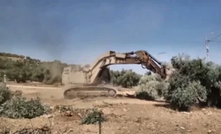Cisgiordania, la guerra degli ulivi: militari israeliani sradicano gli ulivi prima della raccolta 4 gallery_06_migliorata