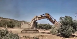 Cisgiordania, la guerra degli ulivi: militari israeliani sradicano gli ulivi prima della raccolta 8 gallery_07_migliorata