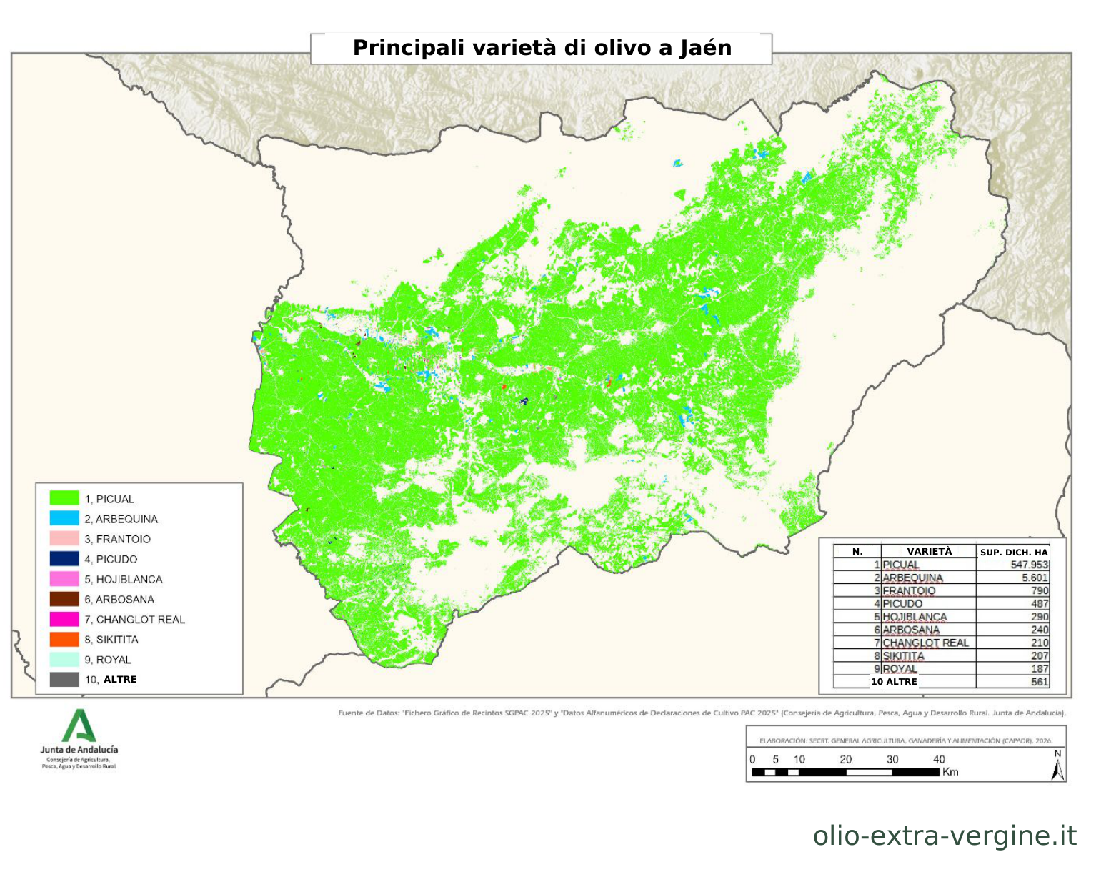 Andalusia, produzione di olio 2026/2027: previsioni, prezzi e grafici 13 Distribuzione delle varietà di olivo nella provincia di Jaén.