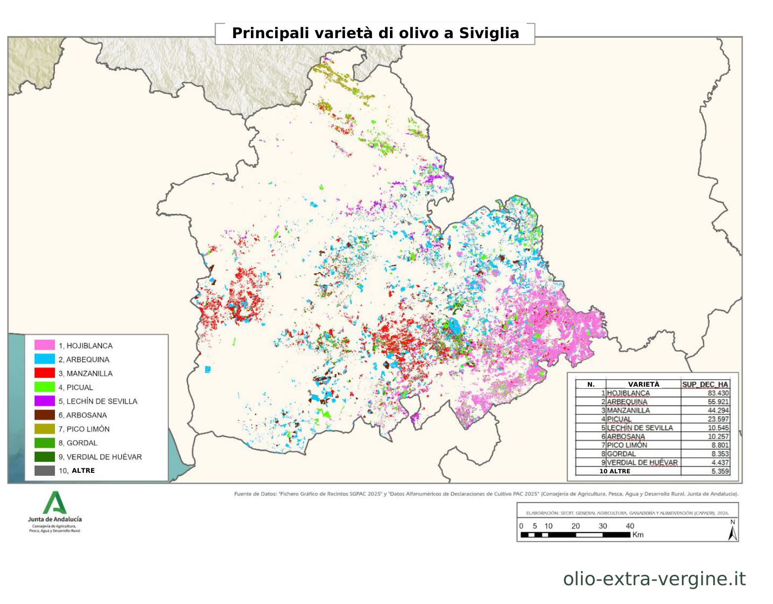 Andalusia, produzione di olio 2026/2027: previsioni, prezzi e grafici 15 Distribuzione delle varietà di olivo nella provincia di Siviglia.