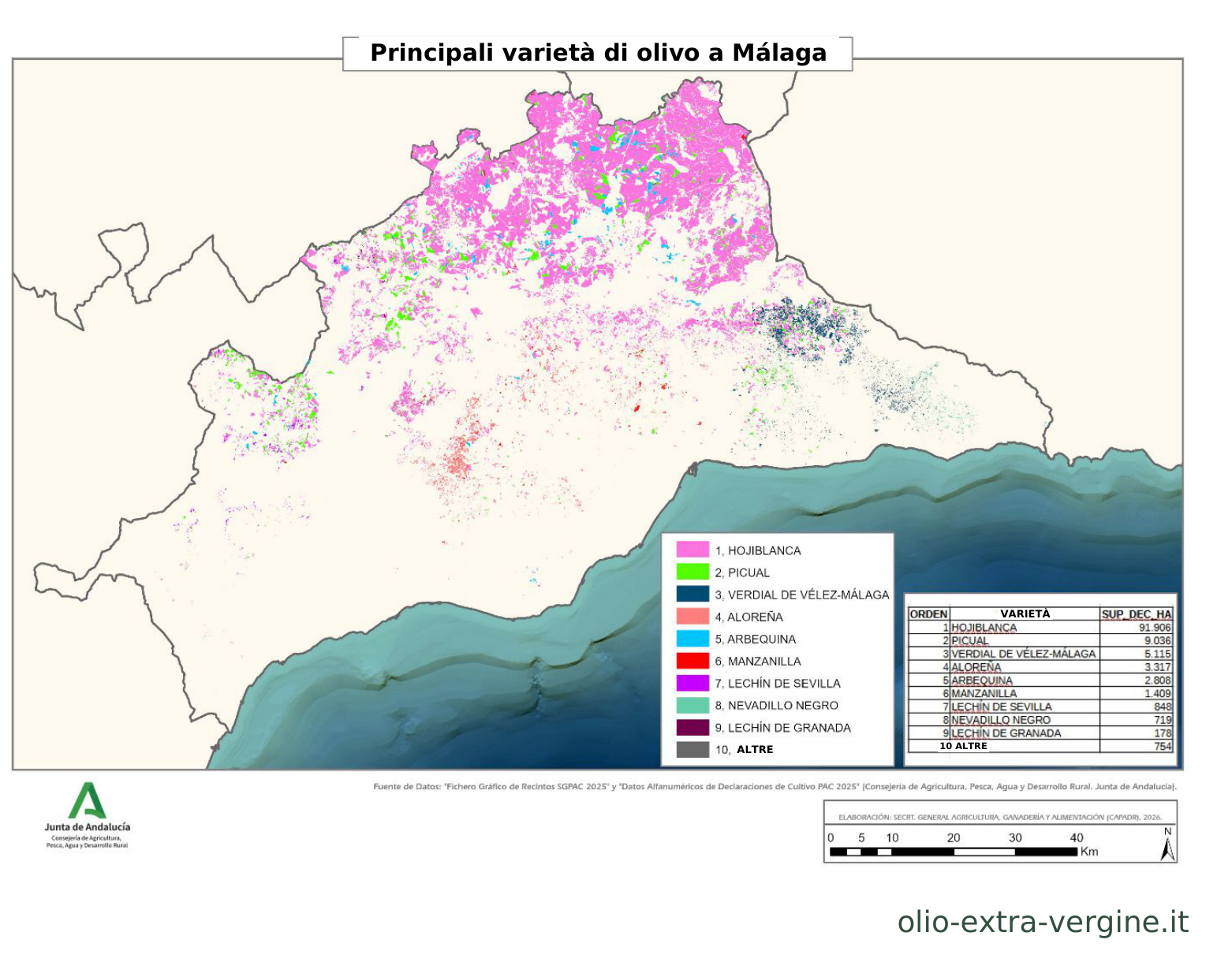 Andalusia, produzione di olio 2026/2027: previsioni, prezzi e grafici 17 Distribuzione delle varietà di olivo nella provincia di Málaga.