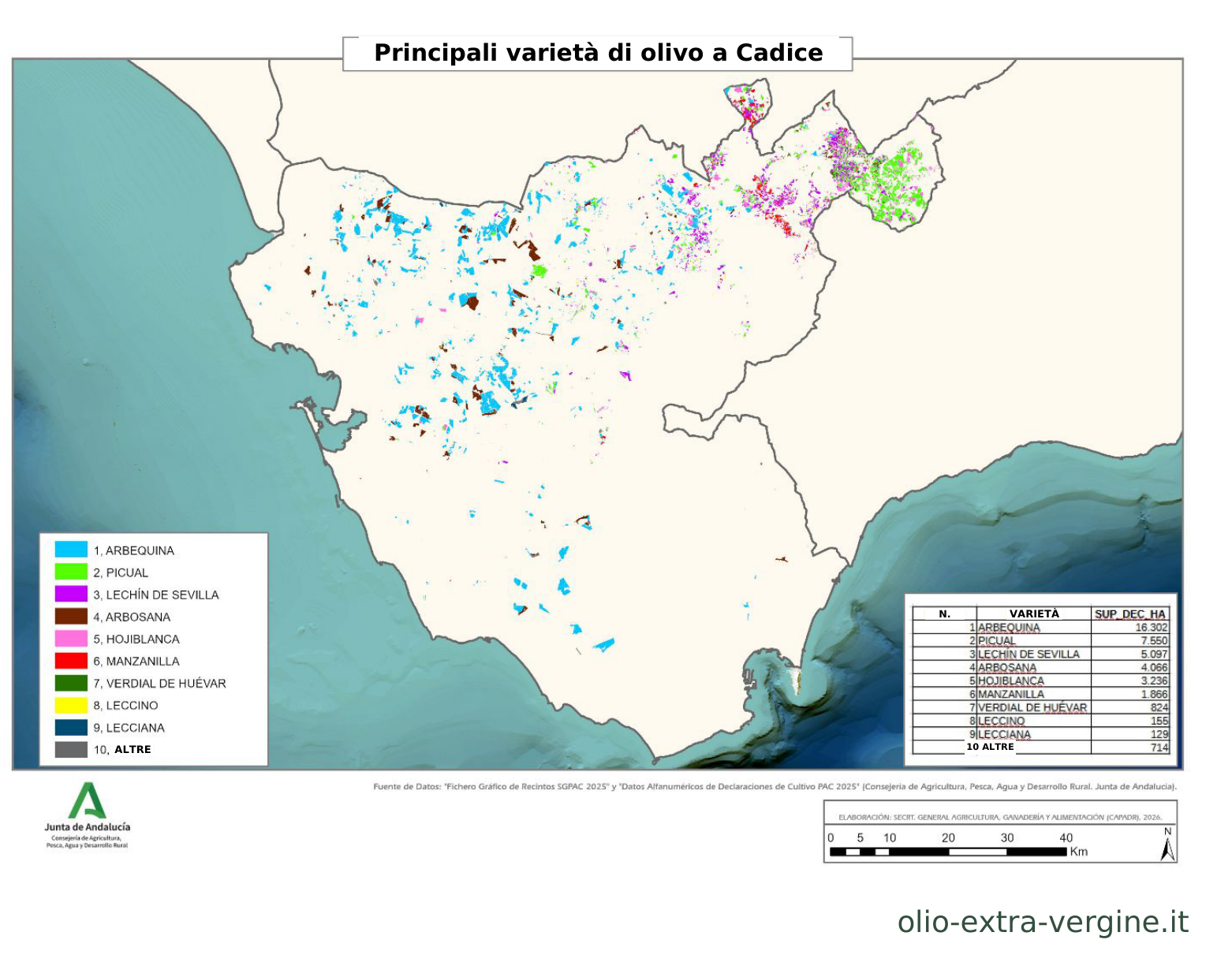 Andalusia, produzione di olio 2026/2027: previsioni, prezzi e grafici 18 Distribuzione delle varietà di olivo nella provincia di Cadice.