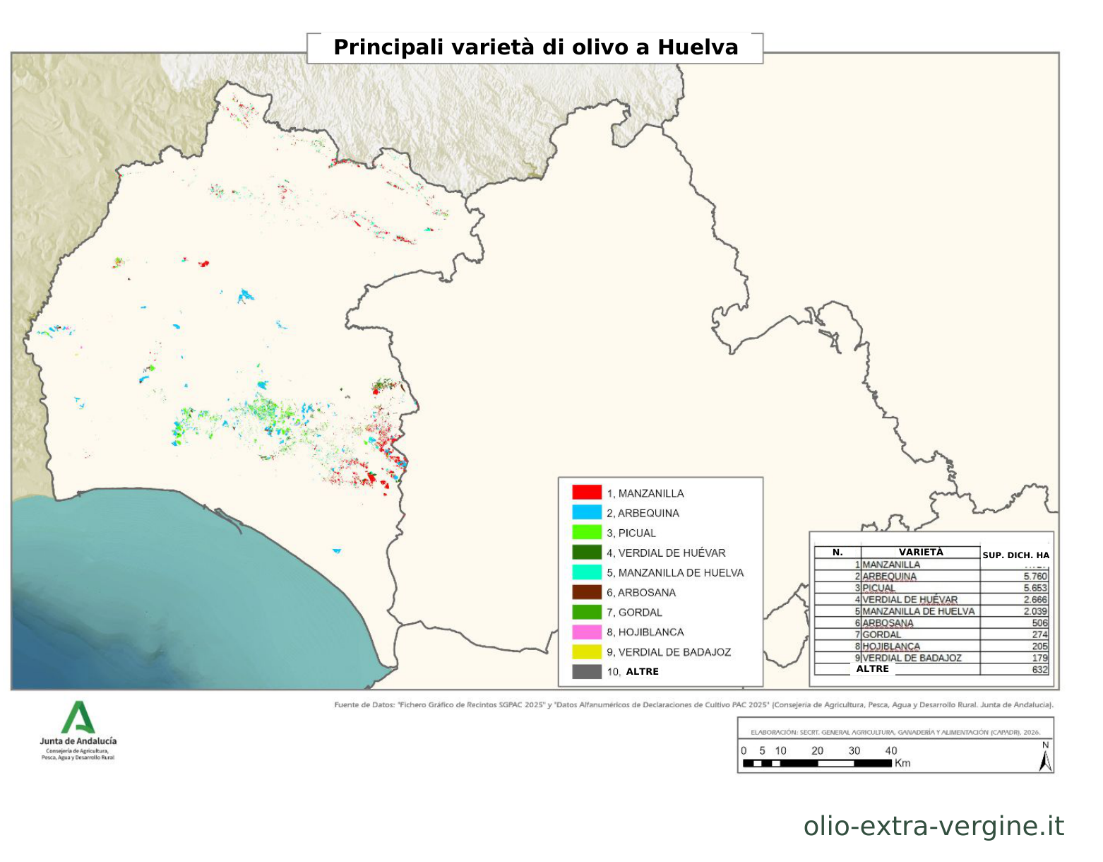 Andalusia, produzione di olio 2026/2027: previsioni, prezzi e grafici 19 Distribuzione delle varietà di olivo nella provincia di Huelva.
