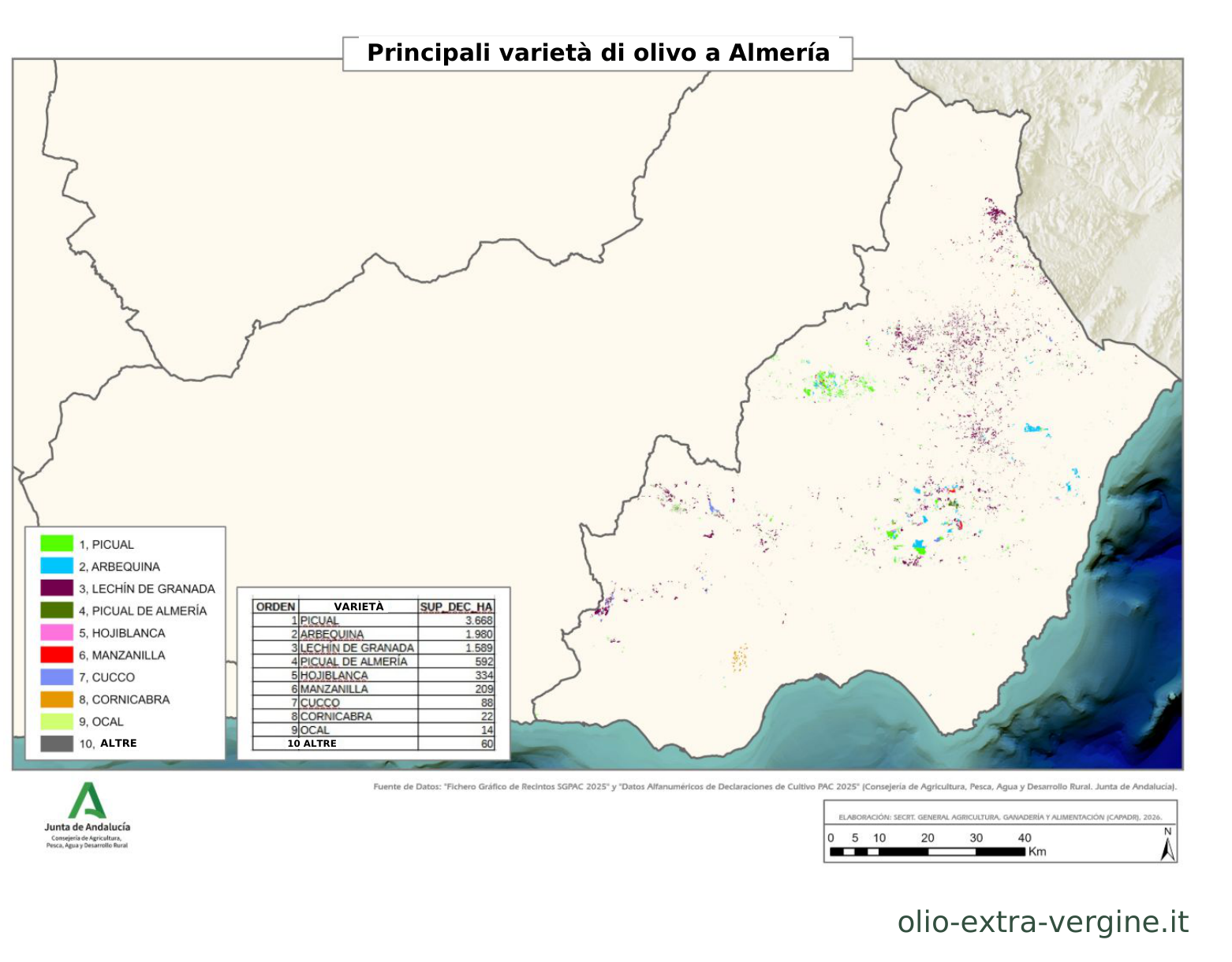 Andalusia, produzione di olio 2026/2027: previsioni, prezzi e grafici 20 Distribuzione delle varietà di olivo nella provincia di Almería.
