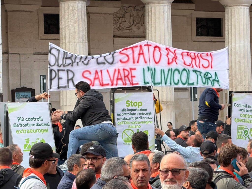 Bari, protesta olivicoltori: non copriamo nemmeno i costi di produzione 10 salvare l’agricoltura Proteste degli agricoltori a Bari