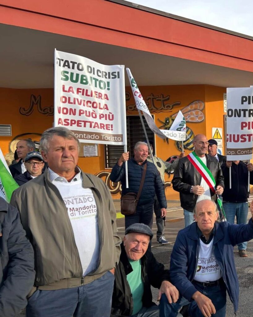 Bari, protesta olivicoltori: non copriamo nemmeno i costi di produzione 6 stato di crisi Proteste degli agricoltori a Bari