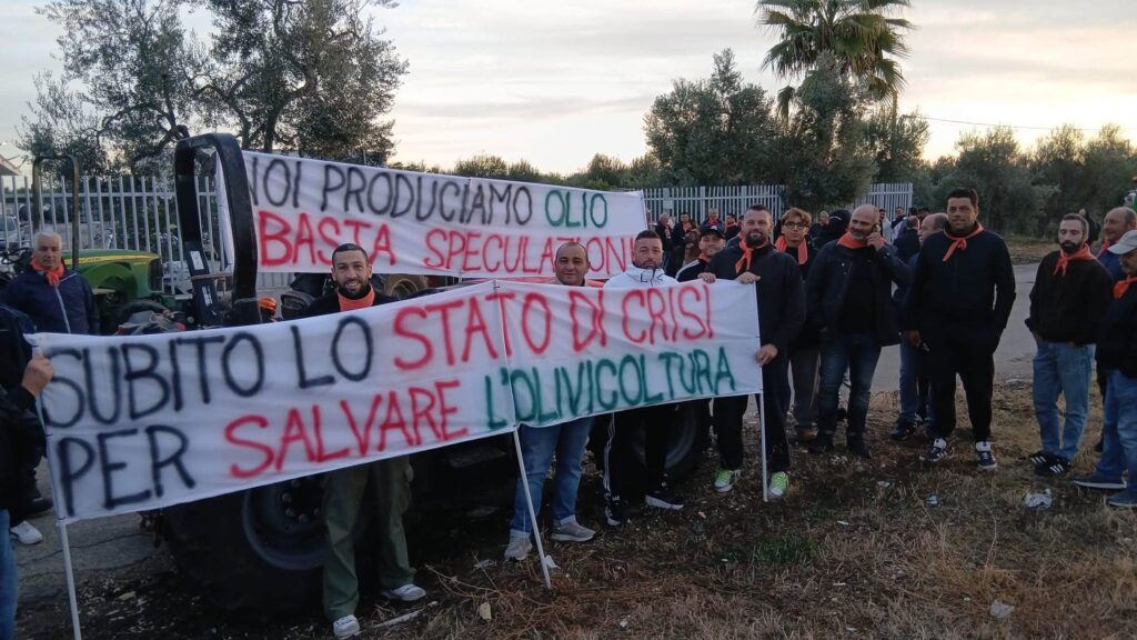 Bari, protesta olivicoltori: non copriamo nemmeno i costi di produzione 4 Stato di Crisi degli agricoltori a Bari