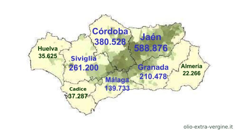 Andalusia 2026 2027