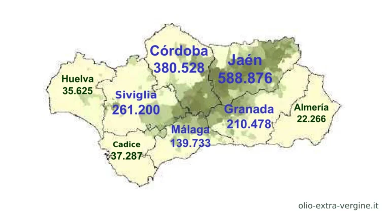 Andalusia, produzione di olio 2026/2027: previsioni, prezzi e grafici 1 Andalusia 2026 2027