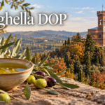 Brisighella DOP, olio a 20 euro al chilo all’origine: quanto costa al pubblico 6 Brisighella DOP tra olivi e storia