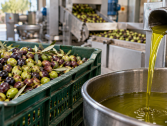Dalle olive allolio extravergine