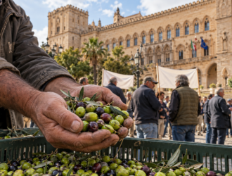 Olive e agricoltori a Palermo