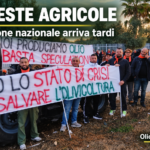 Proteste degli agricoltori, l’attenzione dei TG nazionali arriva tardi 5 Proteste agricole attenzione tardiva