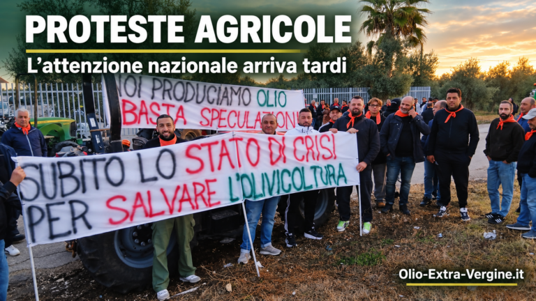 Proteste degli agricoltori, l’attenzione dei TG nazionali arriva tardi 3 Proteste agricole attenzione tardiva