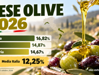 la resa delle olive regione per regione