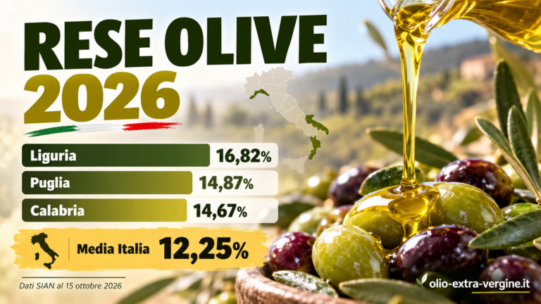 Resa olive 2026: Liguria al 16,82%, Puglia e Calabria sopra il 14% 2 Rese Olive 2026 Classifica Italiana