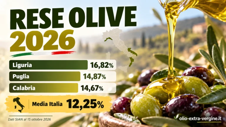 Resa olive 2026: Liguria al 16,82%, Puglia e Calabria sopra il 14% 1 la resa delle olive regione per regione