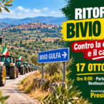 Presidio Gulfa, statale Palermo-Sciacca, trattori in corteo il 17 ottobre: protesta contro crisi agricola e caro vita 6 Ritorno al Bivio Gulfa