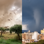 Uliveti e costa sotto la tempesta