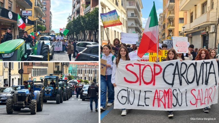 lamezia trattori studenti discover