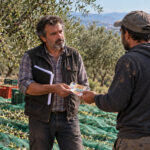 pagamento ulivi