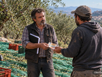 pagamento ulivi