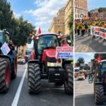 proteste agricoltori 30 ottobre 2026 discover