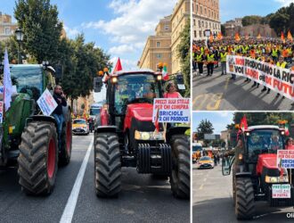 trattori e agricoltori in corteo a Roma