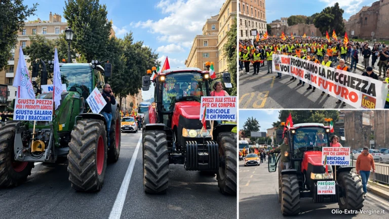 Agricoltori in piazza il 30 ottobre: trattori a Roma, Cosenza e Crotone contro il caro costi 1 trattori e agricoltori in corteo a Roma