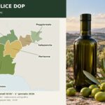 Olio Valle del Belice DOP, il Ministero riconosce il nuovo Consorzio di tutela 25 valle del belice dop confini comunali