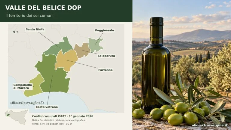 Olio Valle del Belice DOP, il Ministero riconosce il nuovo Consorzio di tutela 1 valle del belice dop confini comunali